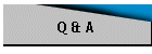 Q & A