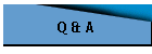 Q & A